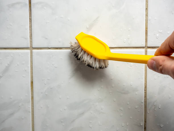 Best Localized Mold Remediation (e.g., coastal areas, humid climates) in Chevy Chase View, MD