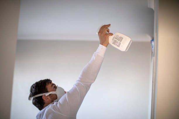 Best Bathroom Mold Remediation in Chevy Chase View, MD