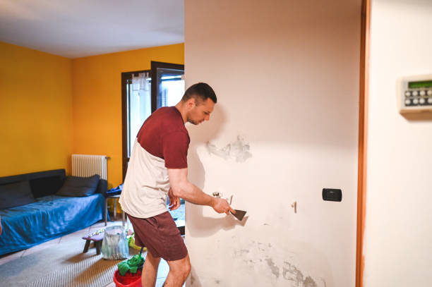 Best Mold Testing and Inspection Services in Chevy Chase View, MD